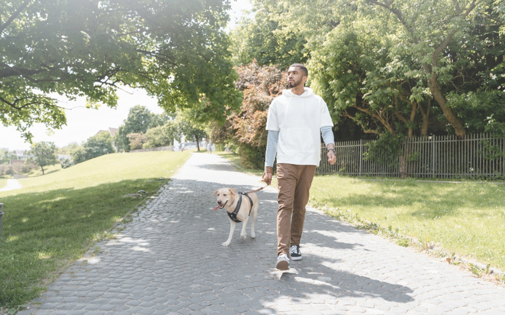 Person walking a dog on a cobblestone path in a park with green trees.