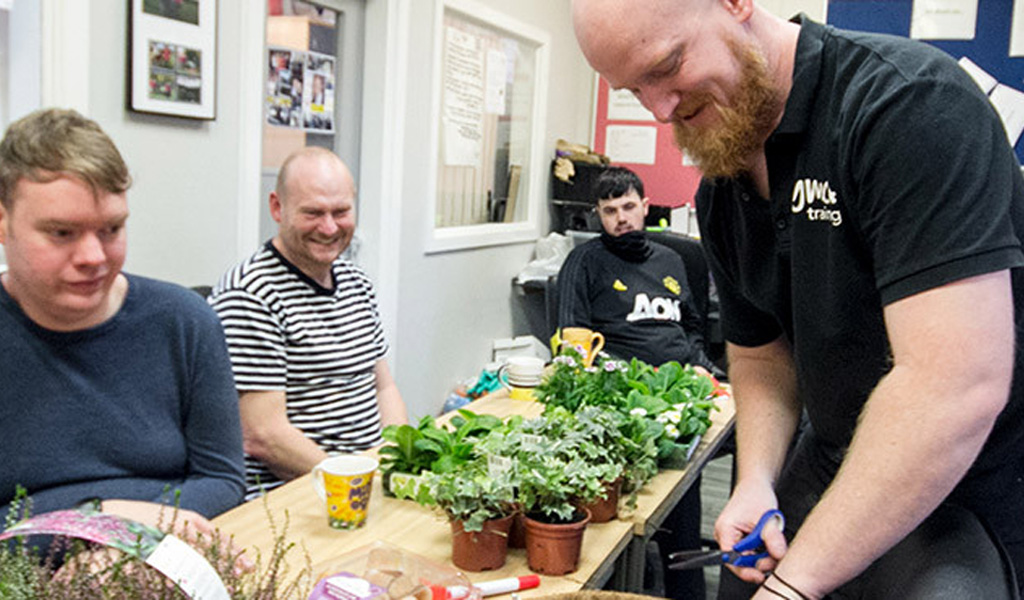 People working with plants on a table in an office environment.