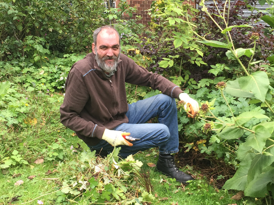 Person in brown jacket and blue jeans sitting and gardening.